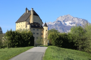 Schloss-Goldenstein in Elsbethen