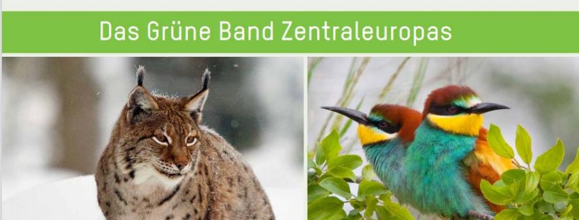Plakat zur Ausstellung das grüne Band Zentraleuropas