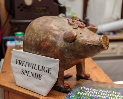 Sparschwein für eine freiwillige Spende